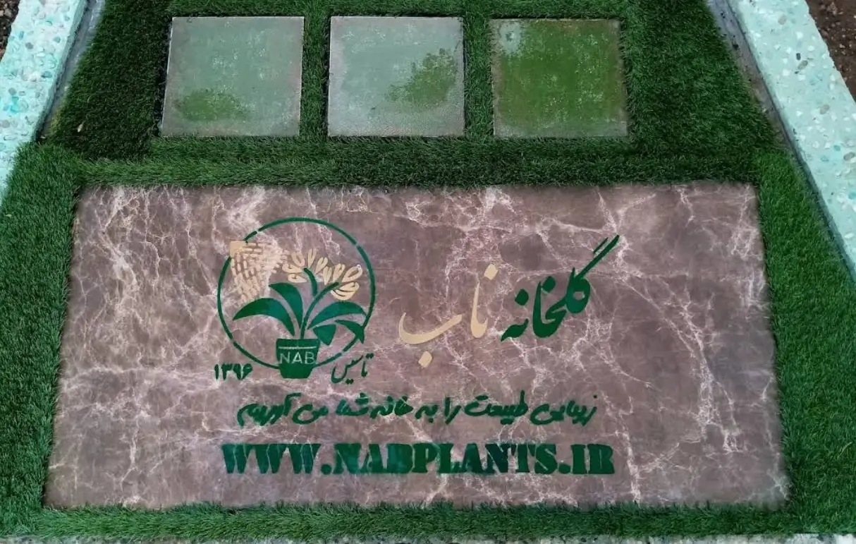 معرفی