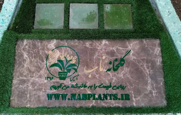 معرفی