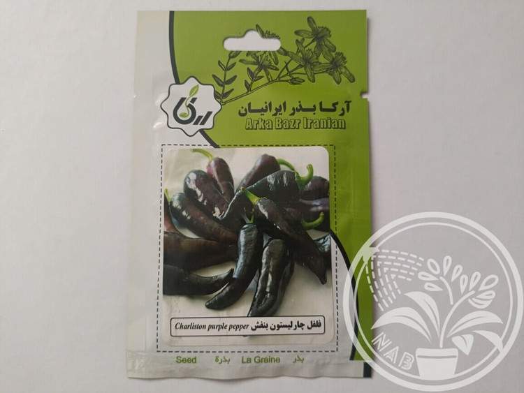 بذر فلفل چارلیستون بنفش آرکا بذر