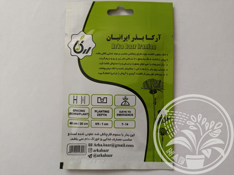 بذر فلفل چارلیستون بنفش آرکا بذر