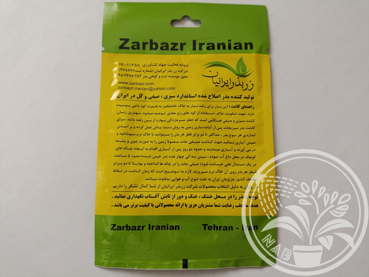 بذر بادمجان دلمهای زر بذر ایرانیان