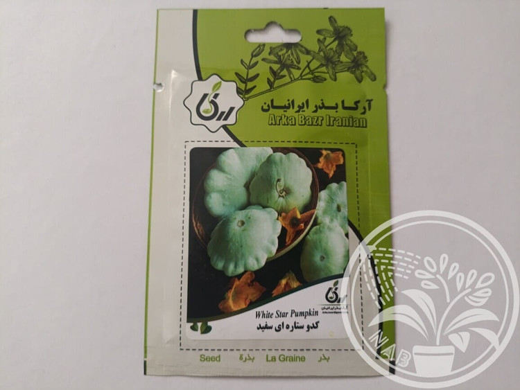 بذر کدو ستاره ای سفید آرکا بذر
