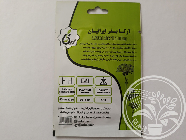 بذر کدو ستاره ای سفید آرکا بذر