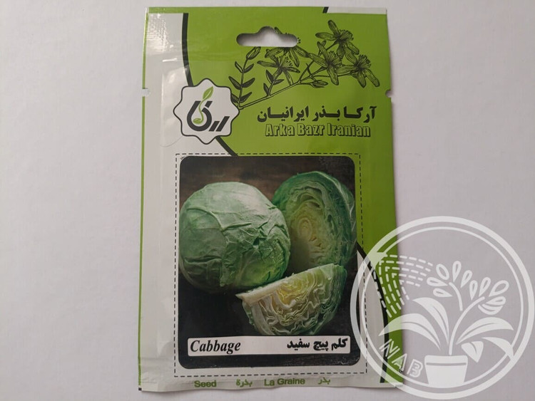 بذر کلم پیچ سفید آرکا بذر