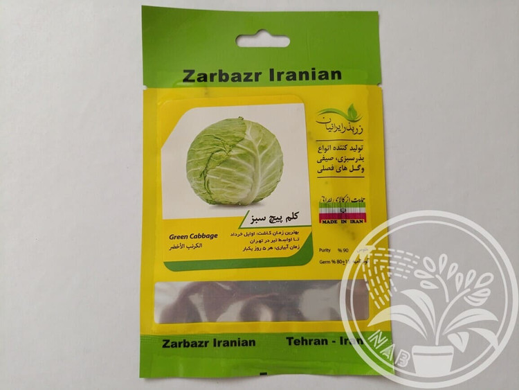بذر کلم پیچ سبز زر بذر ایرانیان