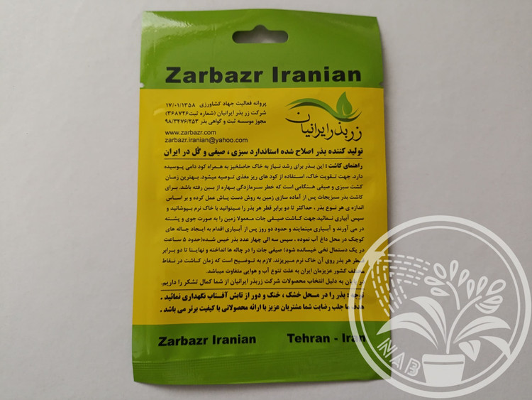 بذر کلم پیچ سبز زر بذر ایرانیان