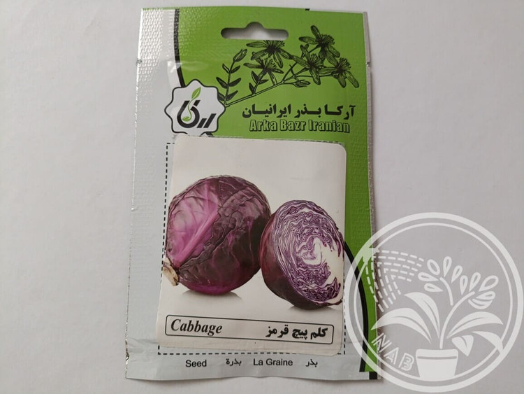 بذر کلم پیچ قرمز آرکا بذر