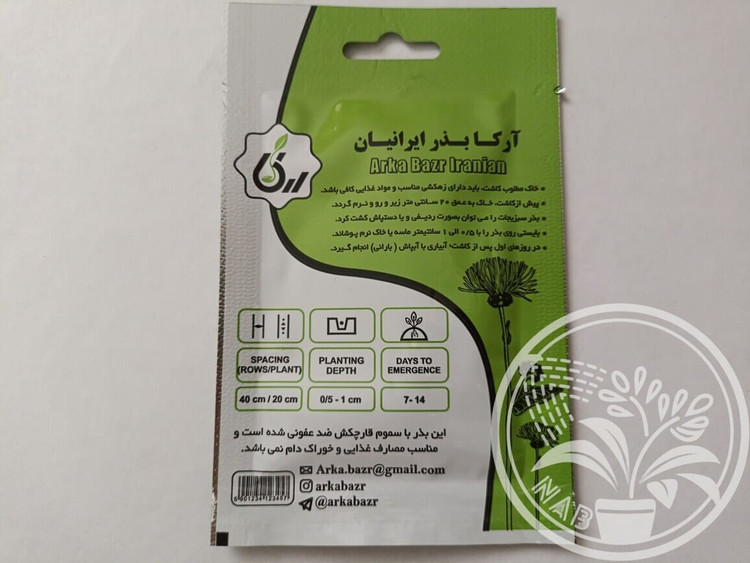 بذر کلم پیچ قرمز آرکا بذر