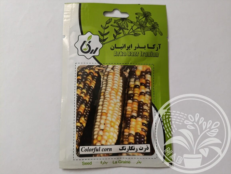 بذر ذرت رنگارنگ آرکا بذر