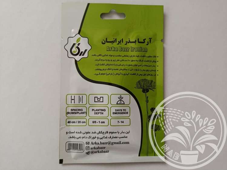 بذر ذرت رنگارنگ آرکا بذر