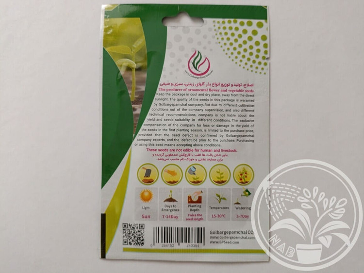 بذر گل بنفشه گل درشت الوان پاکتی گلبرگ پامچال
