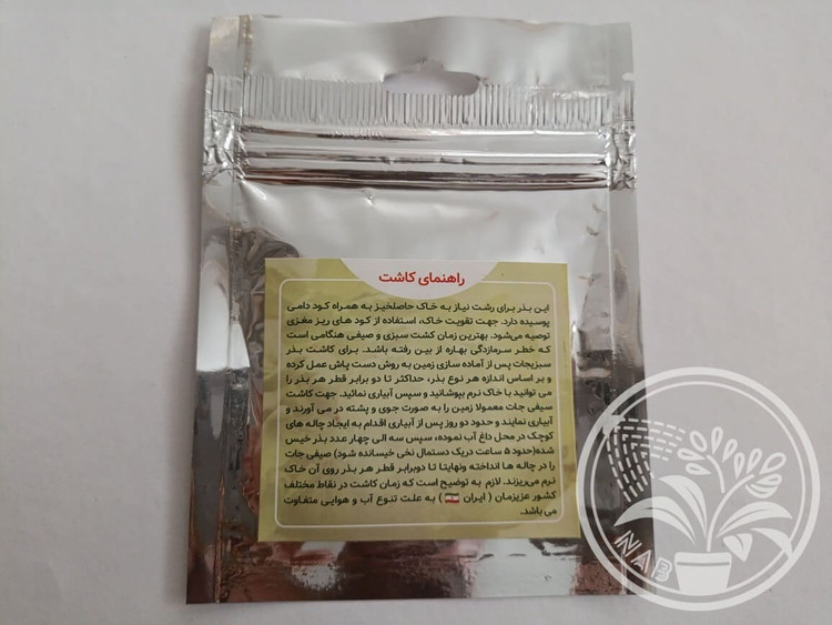 بذر کلم زینتی سفید پاکوتاه