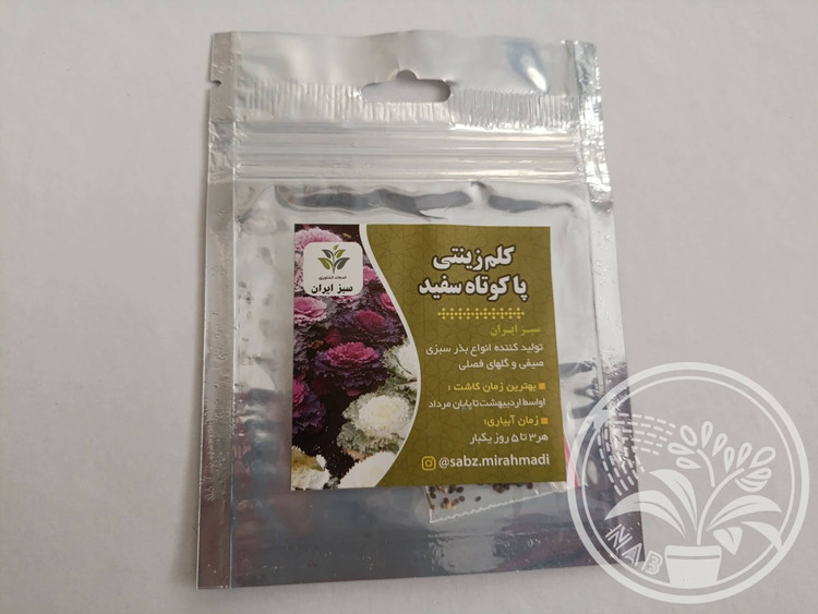 بذر کلم زینتی سفید پاکوتاه