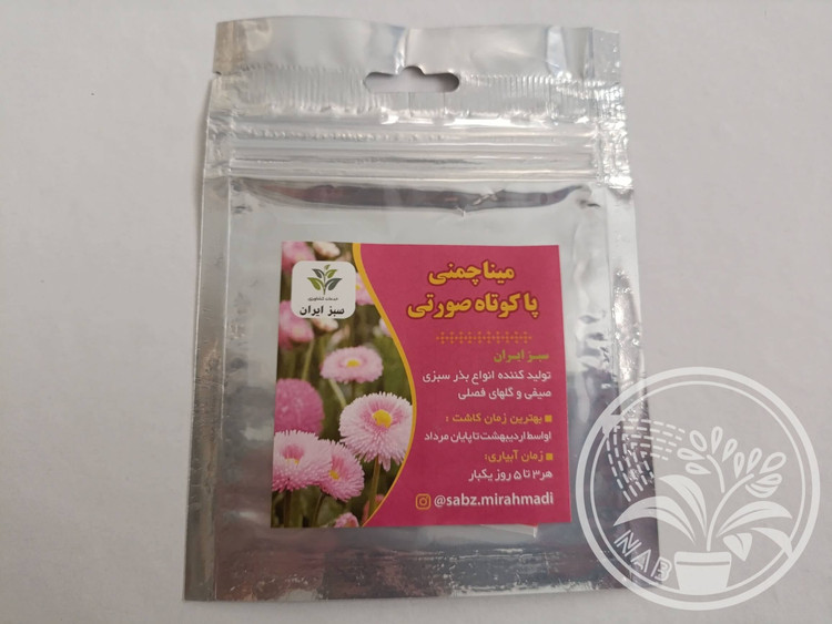 بذر گل مینا چمنی صورتی پاکوتاه