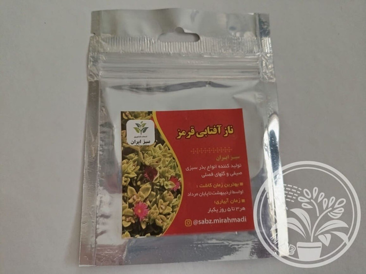 بذر گل ناز آفتابی قرمز مینیاتوری