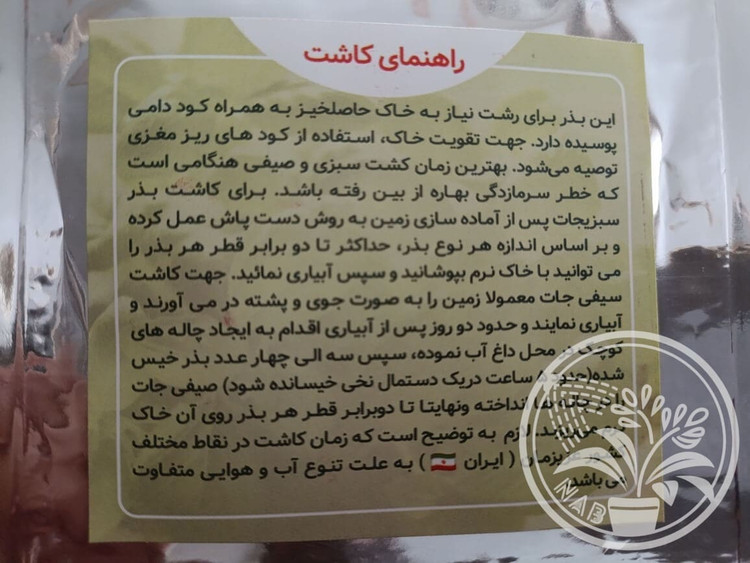 بذر سبزی مرزه معطر سبز ایران