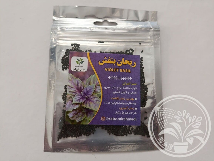 بذر سبزی ریحان بنفش معطر سبز ایران