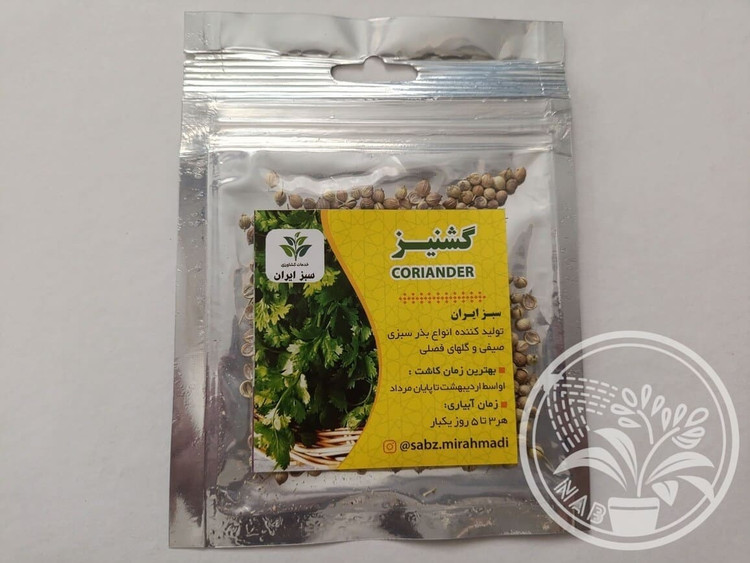 بذر سبزی گشنیز معطر